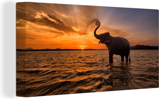 Toile - Éléphant - Coucher de soleil - Water - Décoration murale - 40x20 cm - Peintures sur toile - Toile canvas