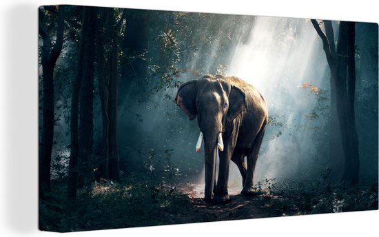 Canvas - Olifant - Bos - Natuur - Muurdecoratie - 80x40 cm - Schilderijen op canvas - Canvas doek