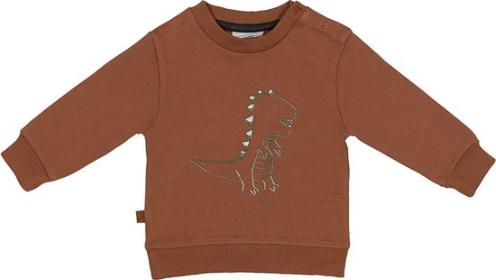 Frogs and Dogs - Dino Park Sweater Dinosaur -Maat 80 - Jongens