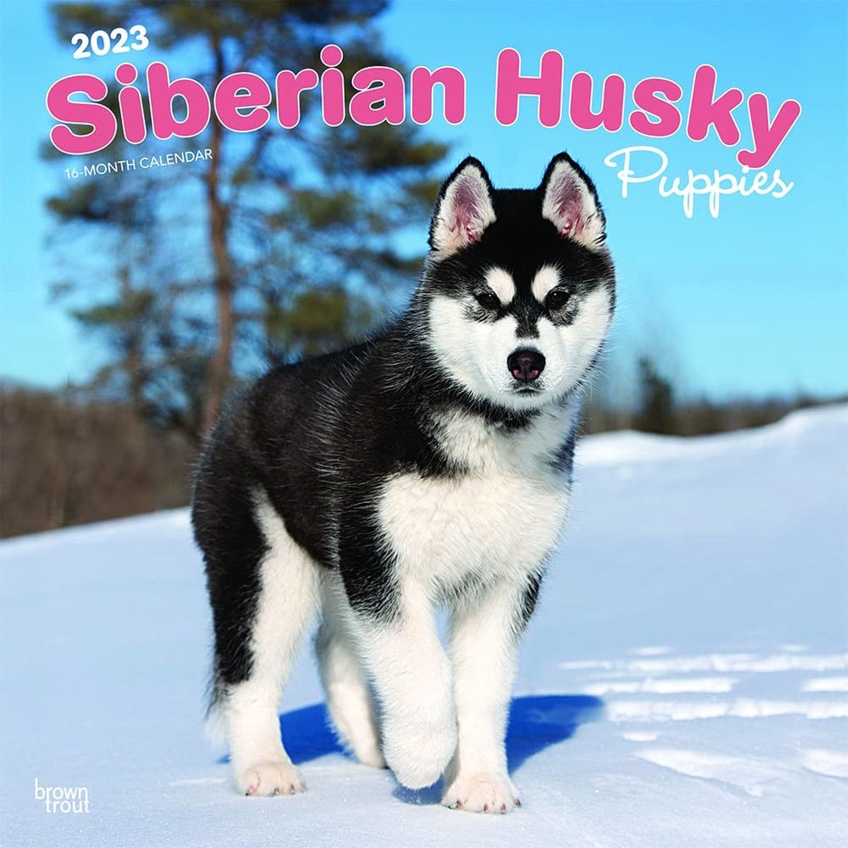 Siberian Husky Puppies Kalender 2023