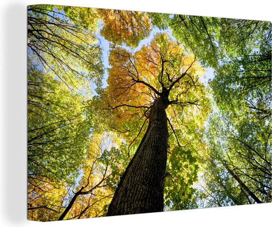 Moody Tree Poster – Fotografieposter in Nordic stijl Moody Tree Poster – Fotografieposter in Nordic stijl
