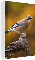 Tableau sur toile Vogel - Branche - Geai - 80x120 cm - Décoration murale