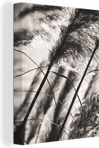 Canvas Schilderij Pampasgras - Zwart - Wit - Plant - 90x120 cm - Wanddecoratie