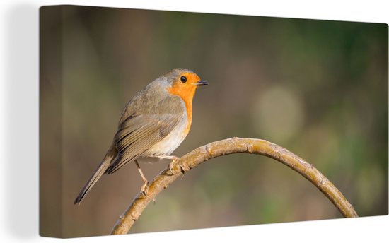 Tableau sur toile Robin - Vogel - Nature - 80x40 cm - Décoration murale