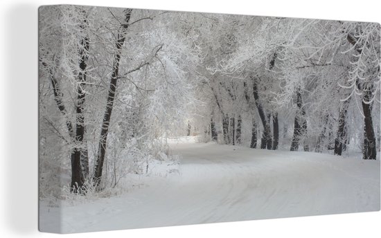 Canvas schilderij 160x80 cm - Wanddecoratie Bomen - Sneeuw - Winter - Muurdecoratie woonkamer - Slaapkamer decoratie - Kamer accessoires - Schilderijen - Kerstdecoratie voor Binnen - Kerstdecoratie Woonkamer - Kerstdecoratie in Huis