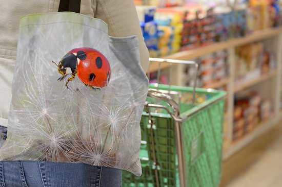 Sac bandoulière - Sac de plage - Shopper Coccinelle sur pissenlit - 45x45 cm - Sac coton