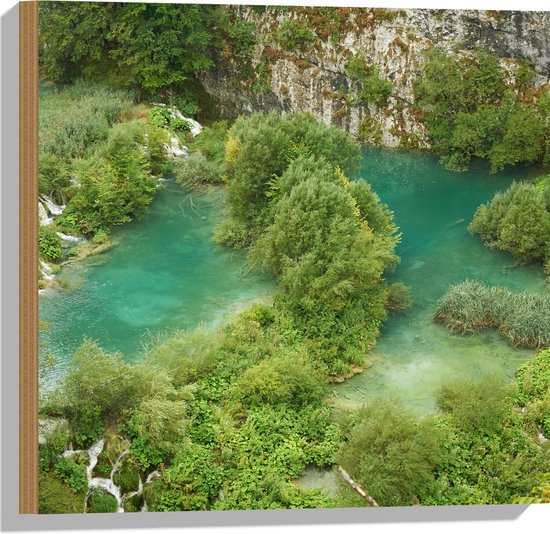 WallClassics - Hout - Kleine Watervallen tussen Bomen - 50x50 cm - 12 mm dik - Foto op Hout (Met Ophangsysteem)
