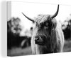 Schotse Hooglanders (2) zwart wit-canvas 2cm - 3:2 - 12-1