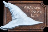 Lord of the Rings Magneet A Wizard Is Never Late