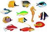 Afbeelding van het spelletje Kleurrijke vissen sorteerset