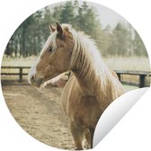 Tuincirkel Paarden - Zandbak - Licht - 120x120 cm - Ronde Tuinposter - Buiten XXL / Groot formaat!
