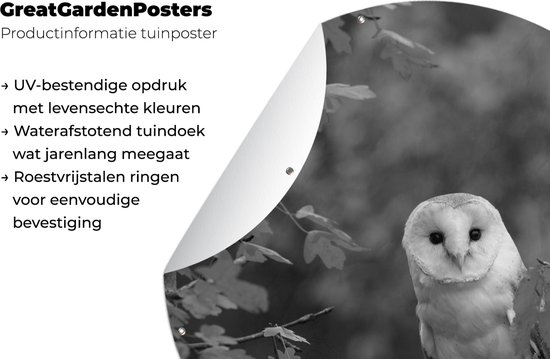 Cercle de jardin Hibou sur une branche - noir et blanc - 60x60 cm - Affiche de jardin ronde - Extérieur