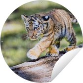 Tuincirkel Jonge tijger wandelt over een boomstam - 120x120 cm - Ronde Tuinposter - Buiten XXL / Groot formaat!