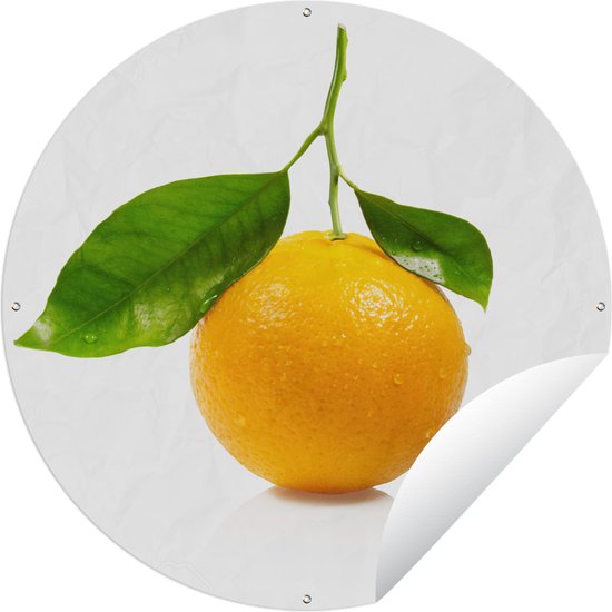 Tuincirkel Sinaasappel - Fruit - Oranje - 60x60 cm - Ronde Tuinposter - Buiten