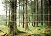 IXXI Forest - Wanddecoratie - Fotografie - 140 x 100 cm