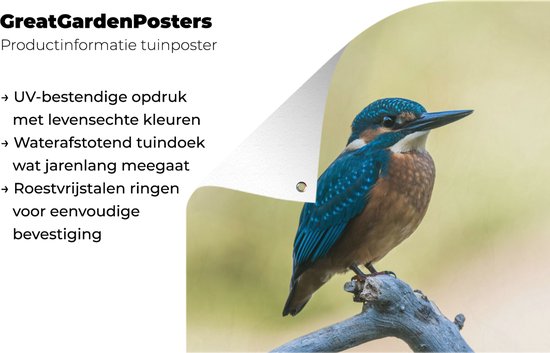 Affiche de Jardin Martin-pêcheur - Branche - Vogel - 200x200 cm - Toile de jardin