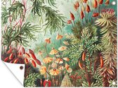 Décoration de Jardin Fleurs - Art - Vintage - Muscinae - 40x30 cm - Toile de jardin