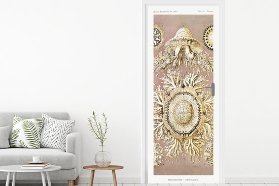Sticker de porte Vintage - Ernst Haeckel - Méduse - Art - 90x235 cm - Affiche de porte