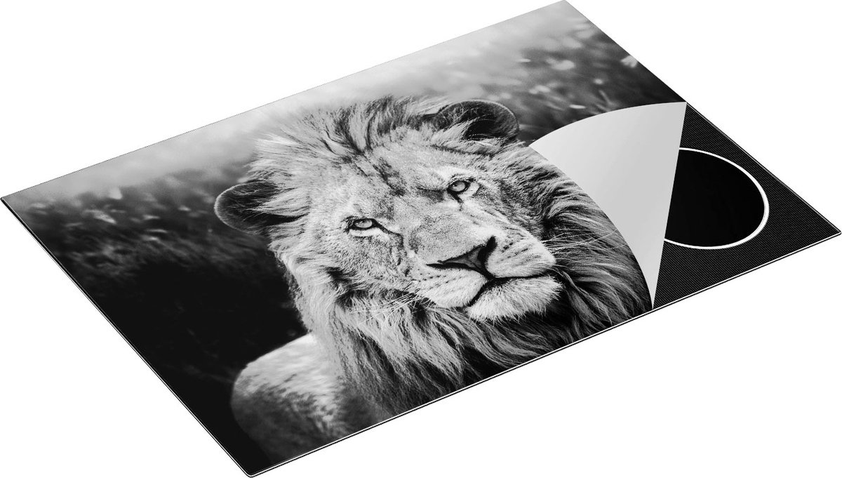Chefcare Inductie Beschermer Leeuw in het Wild - Leeuwenkop - Zwart Wit - 75x50 cm - Afdekplaat Inductie - Kookplaat Beschermer - Inductie Mat