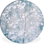 WallCircle - Wandcirkel - Muurcirkel - Takken - Sneeuw - Winter - Natuur - Botanisch - Aluminium - Dibond - ⌀ 60 cm - Binnen en Buiten