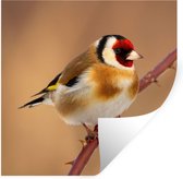 Muurstickers - Sticker Folie - Putter - Vogel - Dieren - 80x80 cm - Plakfolie - Muurstickers Kinderkamer - Zelfklevend Behang - Zelfklevend behangpapier - Stickerfolie