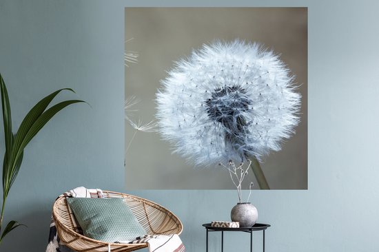 Stickers muraux - Pissenlit - Bloem - Plante - 120x120 cm - Feuille adhésive XXL