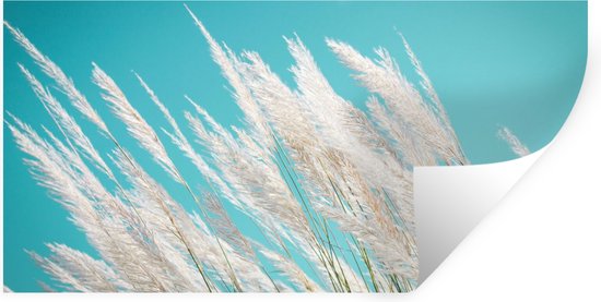 Stickers Stickers muraux - Herbe de la pampa - Plante - Plante - 120x60 cm - Feuille adhésive