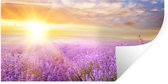 Stickers Stickers muraux - Lavande - Soleil - Ciel - Nature - 120x60 cm - Feuille adhésive