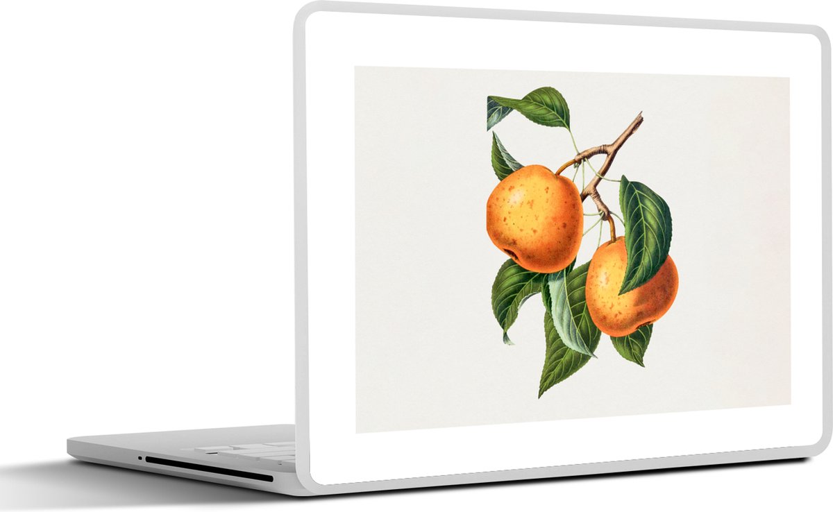 Laptop sticker - 10.1 inch - Sinaasappels - Tak - Eten - 25x18cm - Laptopstickers - Laptop skin - Cover