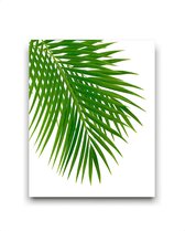 Schilderij  Tropisch palmboom blad links - gekleurd / Planten / Bladeren / 50x40cm