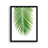Poster Palmboom blad Midden - Tropisch Blad - Planten Poster - Muurdecoratie - 70x50cm - PosterCity