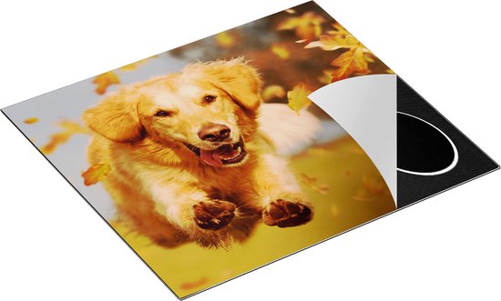 Chefcare Inductie Beschermer Golden Retriever Hond in de Herfst Bladeren - 59x52 cm - Afdekplaat Inductie - Kookplaat Beschermer - Inductie Mat