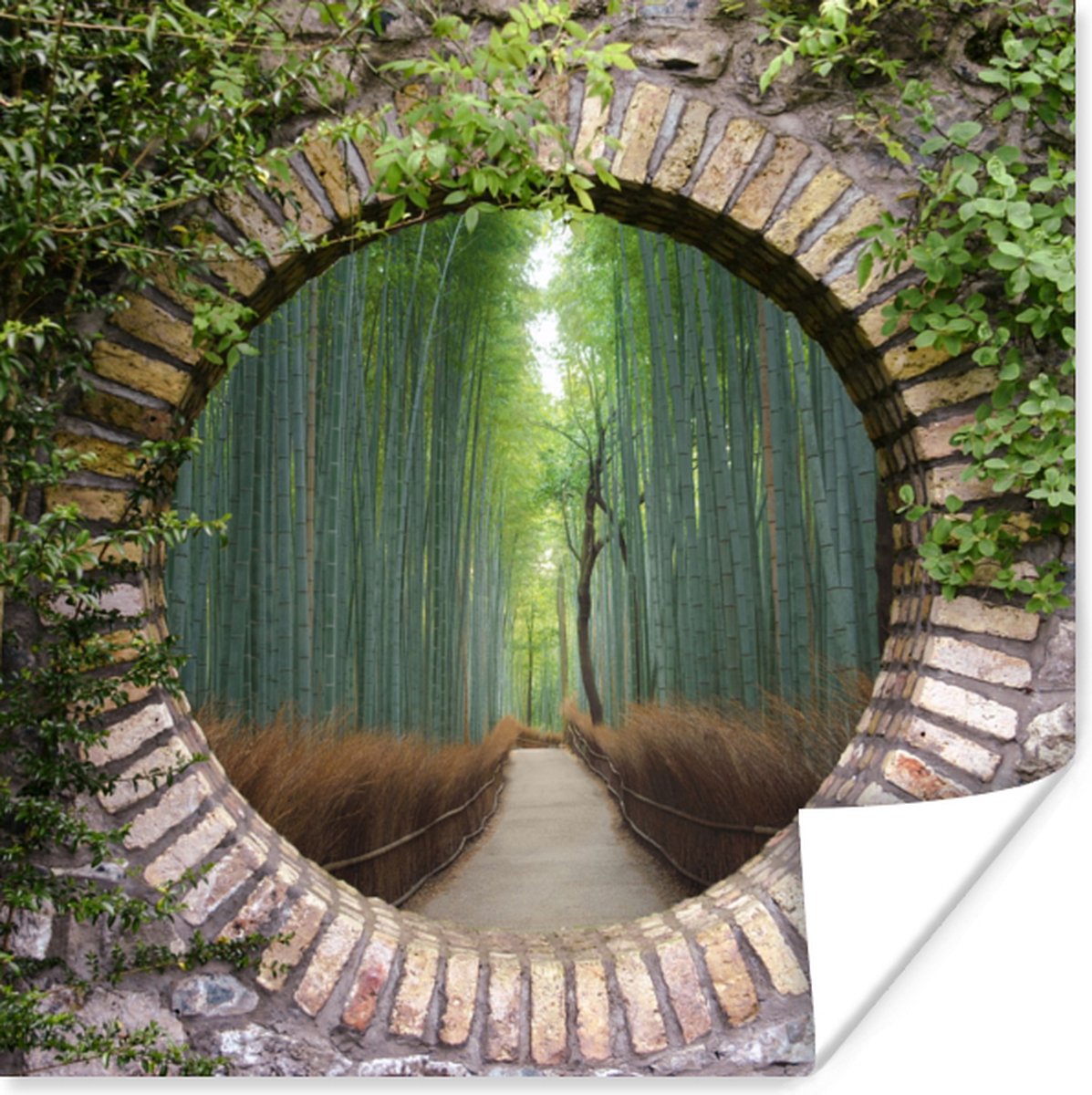 Poster Bamboe - Bos - Japans - Doorkijk - 75x75 cm