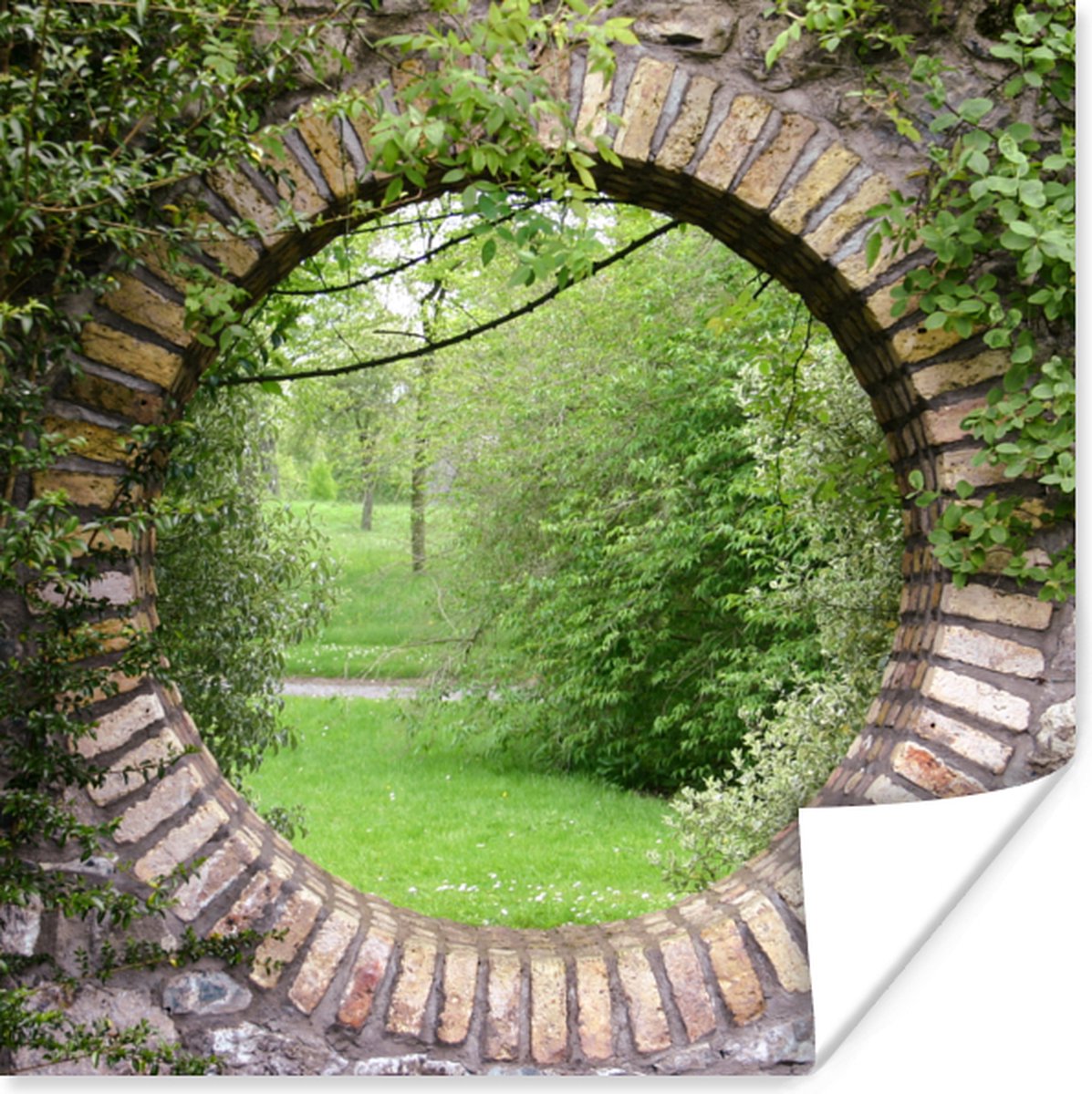 Poster Park - Doorkijk - Natuur - 50x50 cm