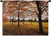 Tapisserie - Toile Murale - Automne - Feuilles d'Automne - Nature - 120x90 cm - Tapisserie