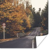 Affiche Arbres - Route - Automne - 30x30 cm