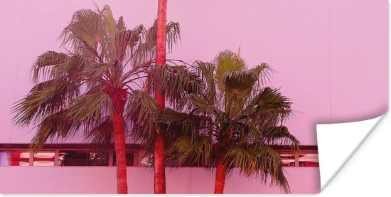 Poster Palm - Tuinposter - Roze - 80x40 cm