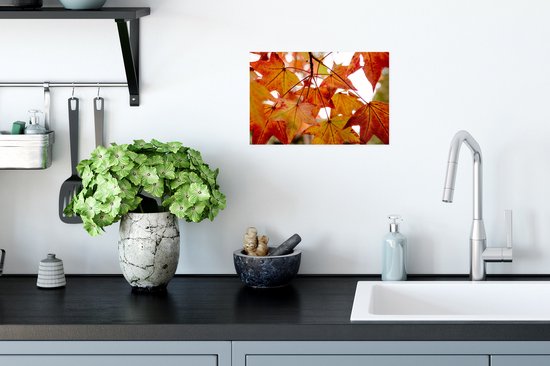 Affiche Branches d'Automne - Feuilles - Saisons - Rural - 30x20 cm