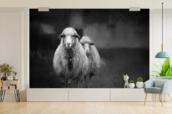 Papier peint photo peint vinyle - Mouton avec cloche largeur 600 cm x hauteur 400 cm - Tirage photo sur papier peint (disponible en 7 tailles)