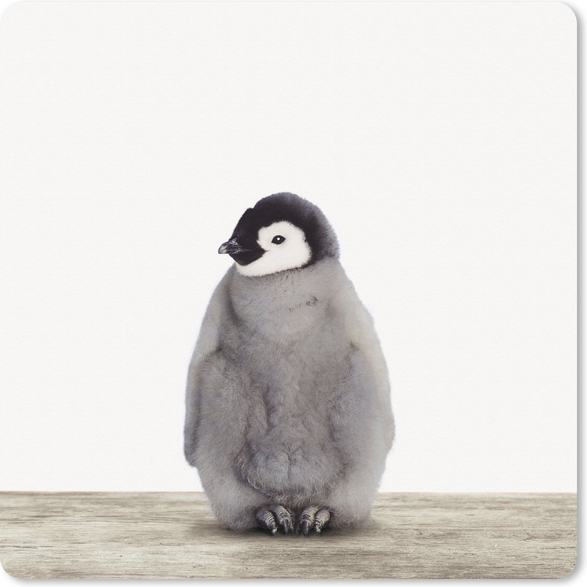 Muismat XXL 80x80 cm - Bureau onderlegger - Bureau mat Kinderen - Pinguïn - Grijs - Dieren - Meisjes - Jongens - Bureaumat - Gaming mousepad xl - Bureaulegger groot - Computer deskmat