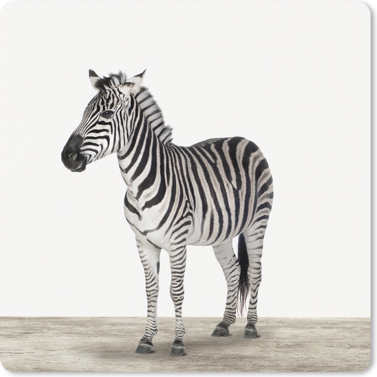 Muismat 30x30 cm - Mousepad Zebra - Meisjes - Dieren - Kinderen - Jongens - Muismatten
