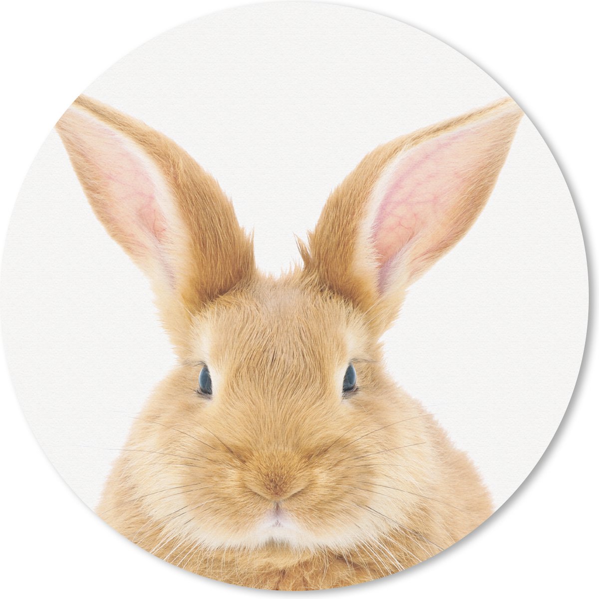 Muismat rond 50x50 cm - Mousepad Kinderen - Konijn - Kind - Meisjes - Jongens - Ronde muismatten