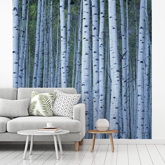 Papier peint photo peint photo vinyle - Witte' arbres blancs largeur 300 cm x hauteur 300 cm - Tirage photo sur papier peint (disponible en 7 tailles)