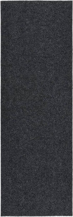 vidaXL sec 100x300 cm Anthracite