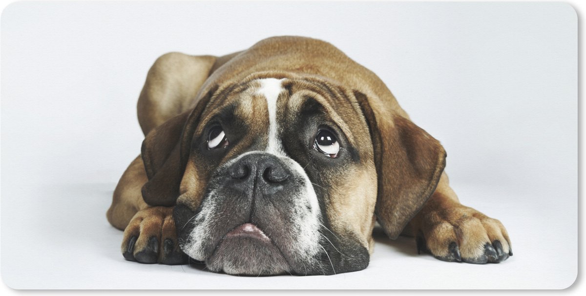 Muismat XXL 100x50 cm - Bureau onderlegger - Bureau mat Hond - Huisdieren - Wit - Bureaumat - Gaming mousepad xl - Bureaulegger groot - Computer deskmat