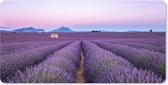 Muismat XXL - Bureau onderlegger - Bureau mat - Lavendelveld tijdens zonsondergang in Zuid-Frankrijk - 120x60 cm - XXL muismat
