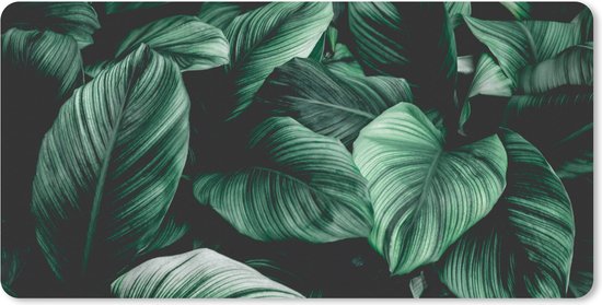Tapis de souris XXL avec un gros plan d'un imprimé tropical de feuilles vert foncé.