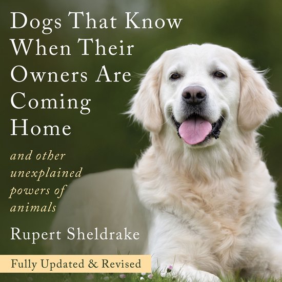 Dogs That Know When Their Owners Are Coming Home - cover