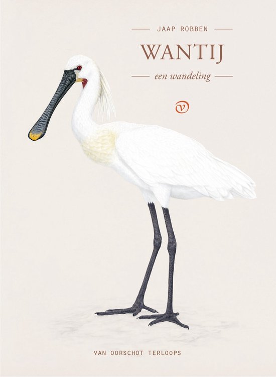 Terloops - Wantij - cover