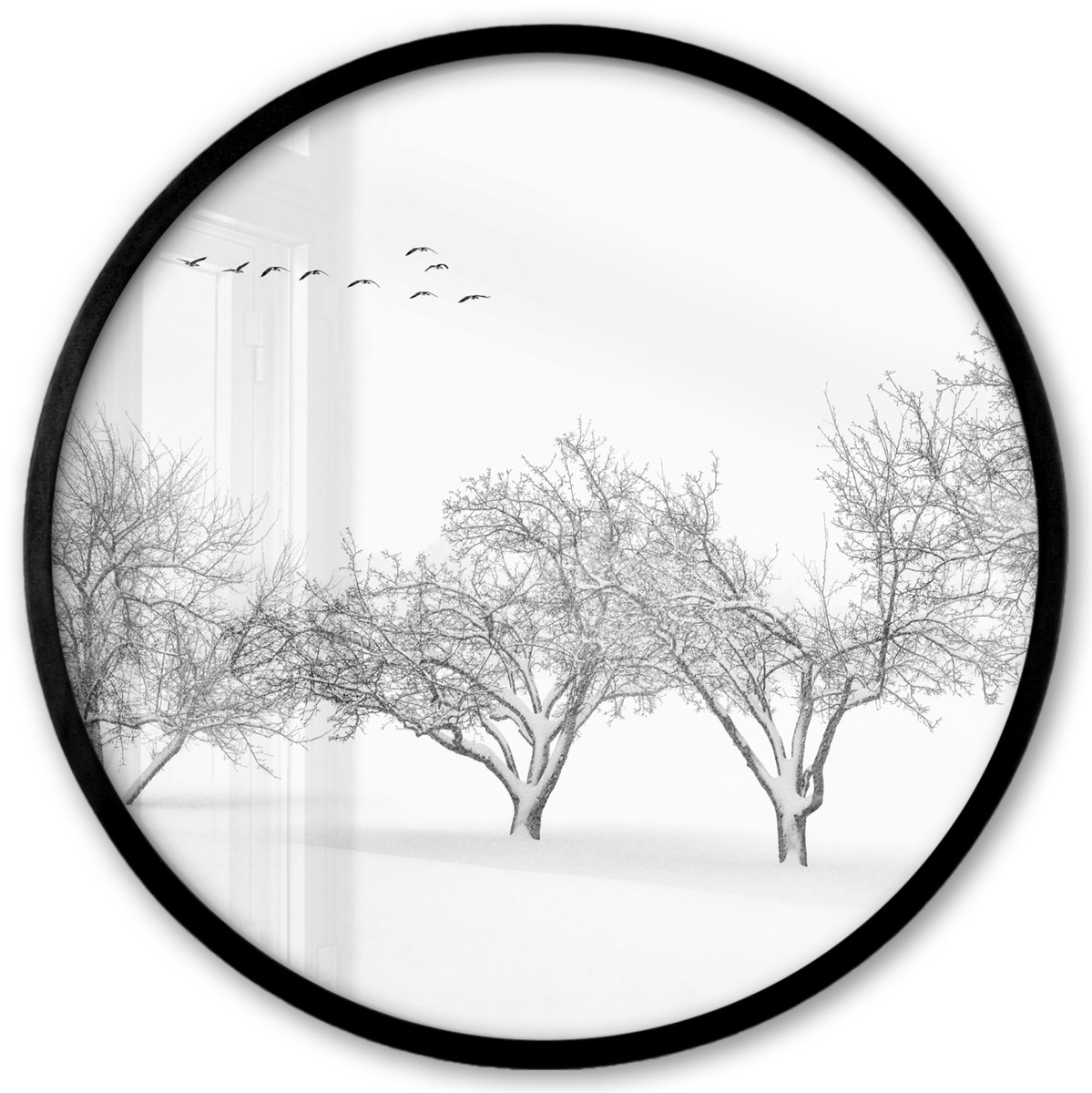 FrameYourWall Poster in lijst Rond - Fotolijst 40x40 cm - Posters - Bomen - Zwart wit - Natuur - Vogels - Ronde posterlijst zwart - Decoratie - Wanddecoratie woonkamer - Muurdecoratie slaapkamer Multicolor